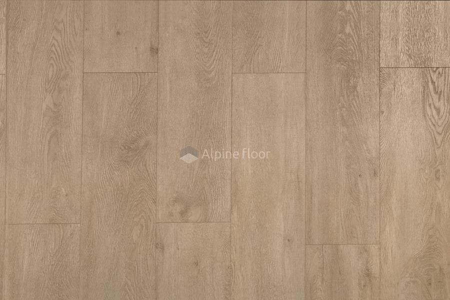 SPC-ламинат  Alpine Floor Камфора ECO 11-5